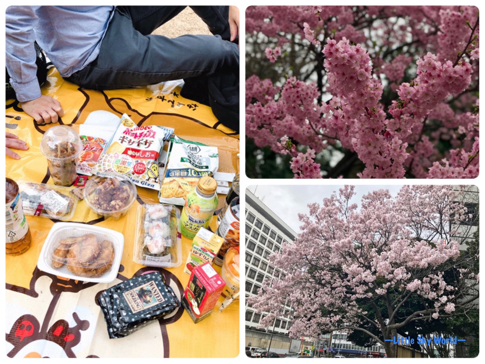 東京 那年春天野餐 賞櫻在新宿御苑 Shinjuku Gyoen Little Sky World