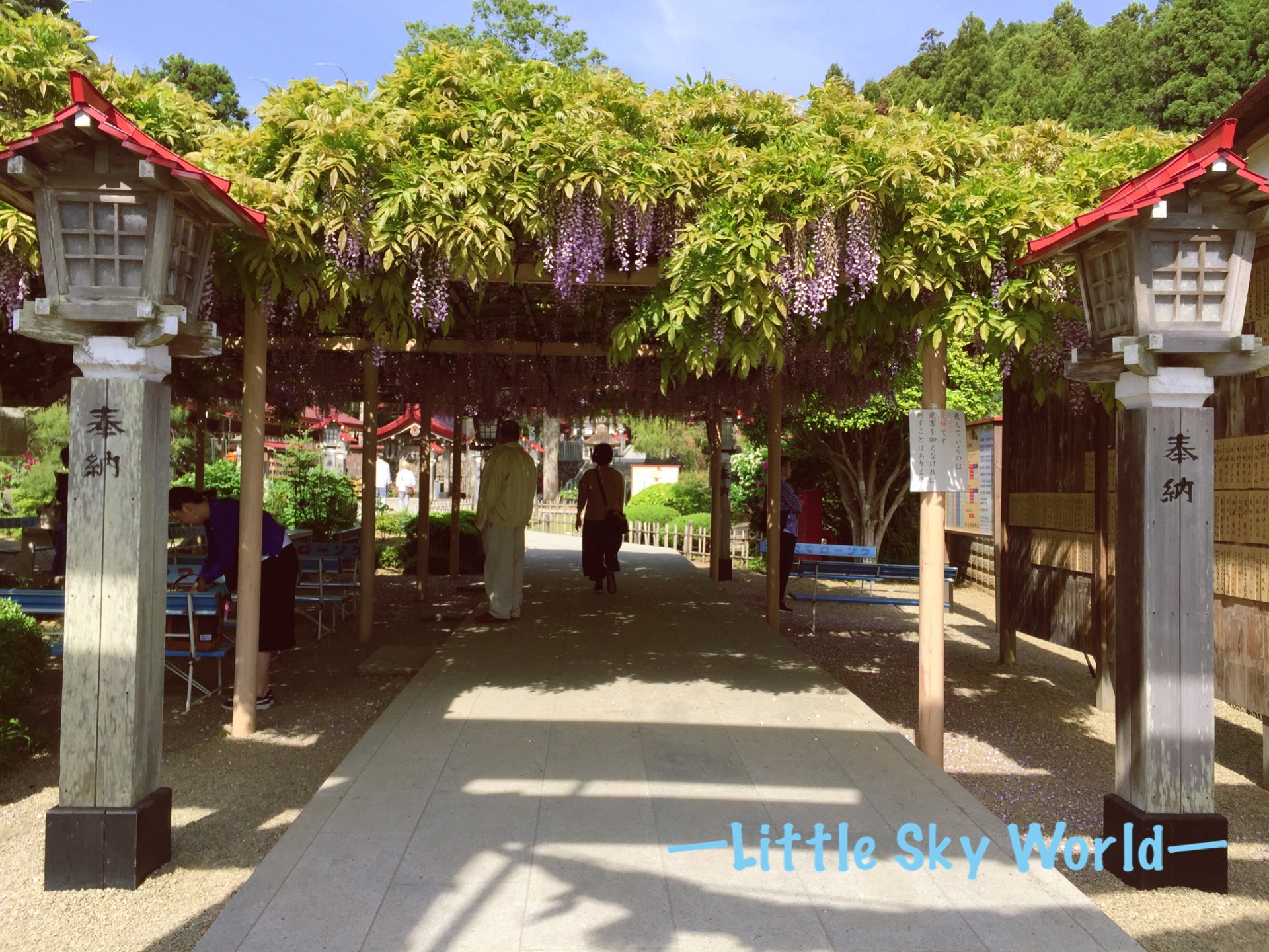 神社著迷 金運能量點 金蛇水神社 Kanahebi Jinja Little Sky World