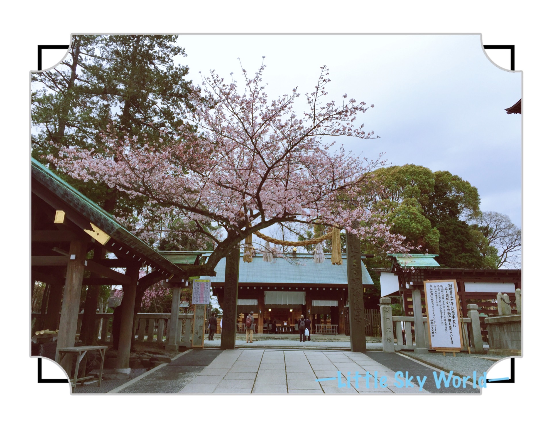 神社著迷 橫濱伊勢山皇大神宮 Iseyamadaijingu Little Sky World