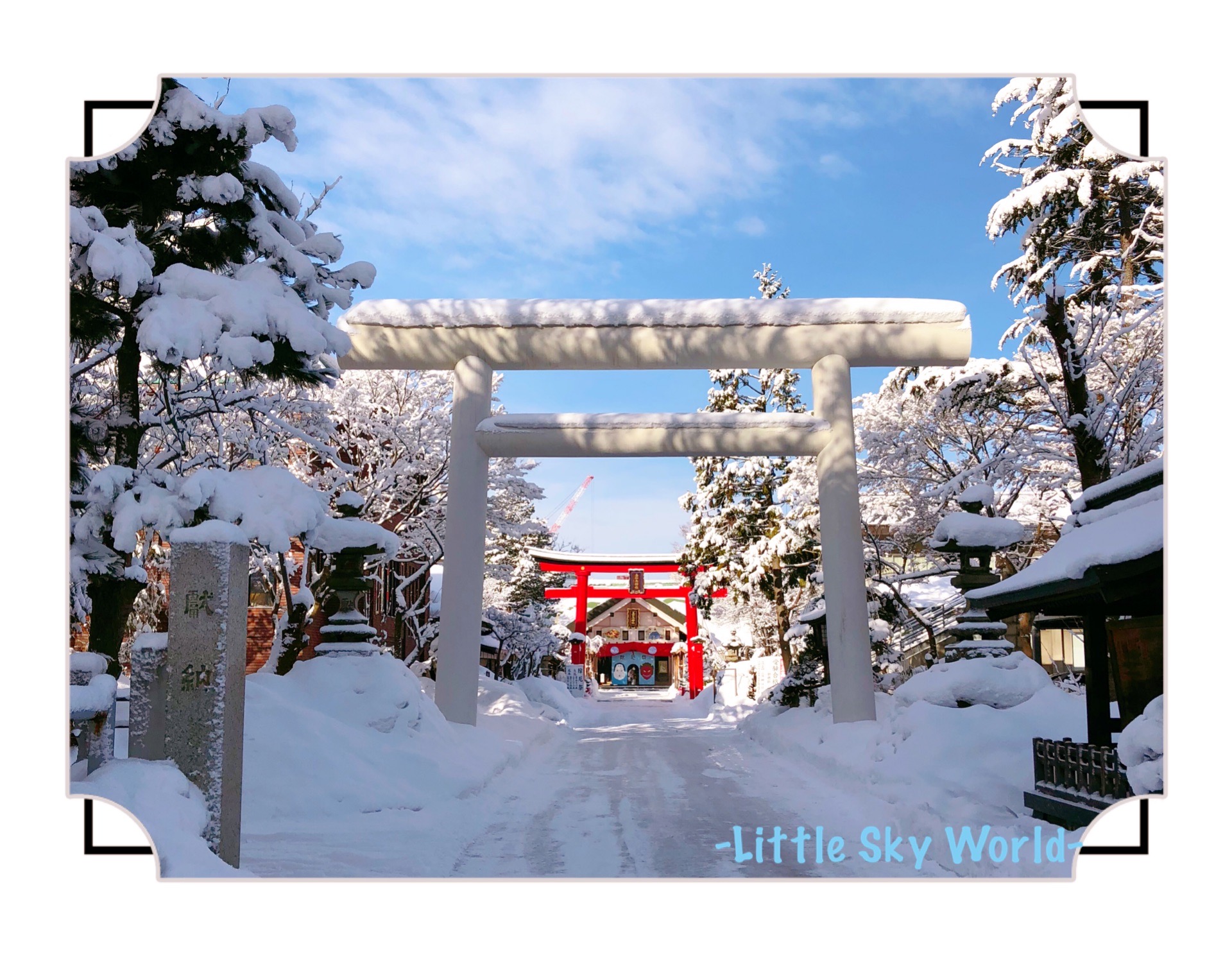 神社著迷 疫病退散 アマビエ御神籤 青森善知鳥神社 Uto Jinja Little Sky World